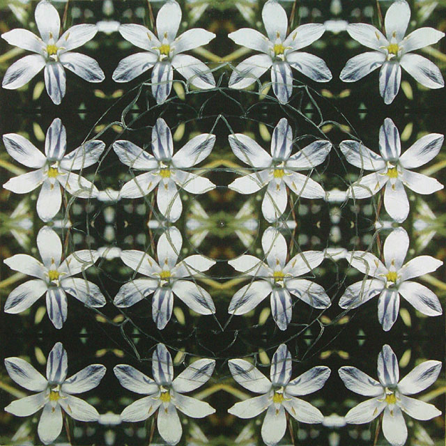 Bala Yantra II (Star of Bethlehem)