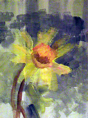 Daffodil