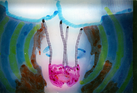 No Place Like Home 2