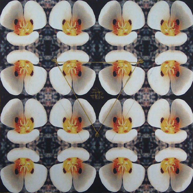 Devi (Mariposa Lily)