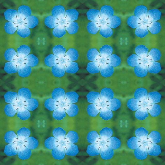 Flower Shower Mandala: Baby Blue Eyes