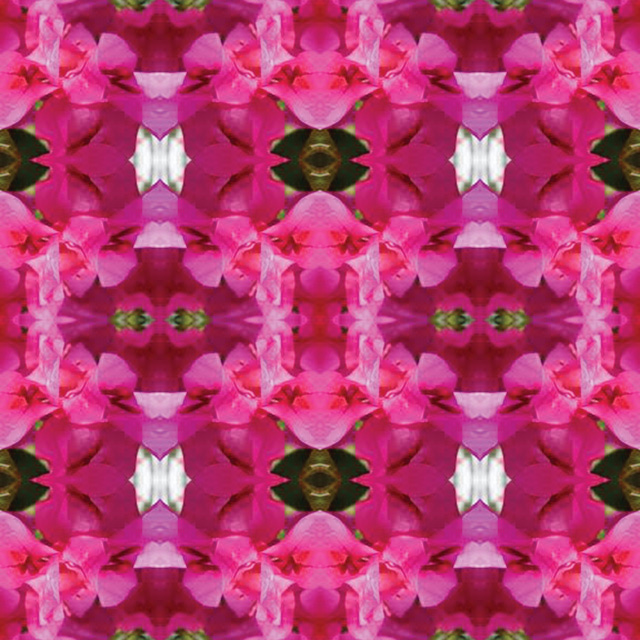 Flower Shower Mandala: Bougainvillea