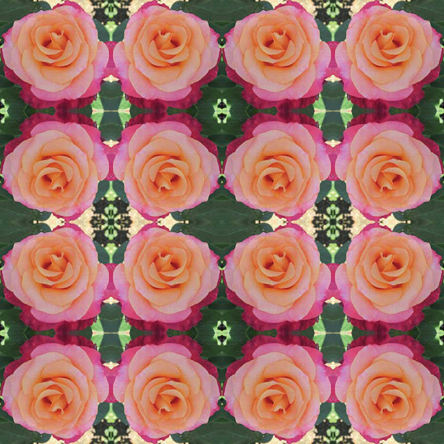 Flower Shower Mandala: Heart of Gold