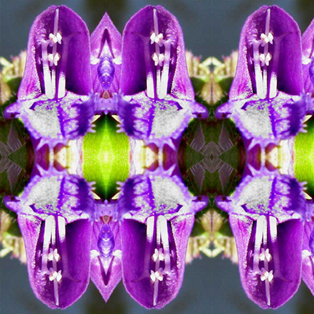 Flower Shower Mandala: Self Heal