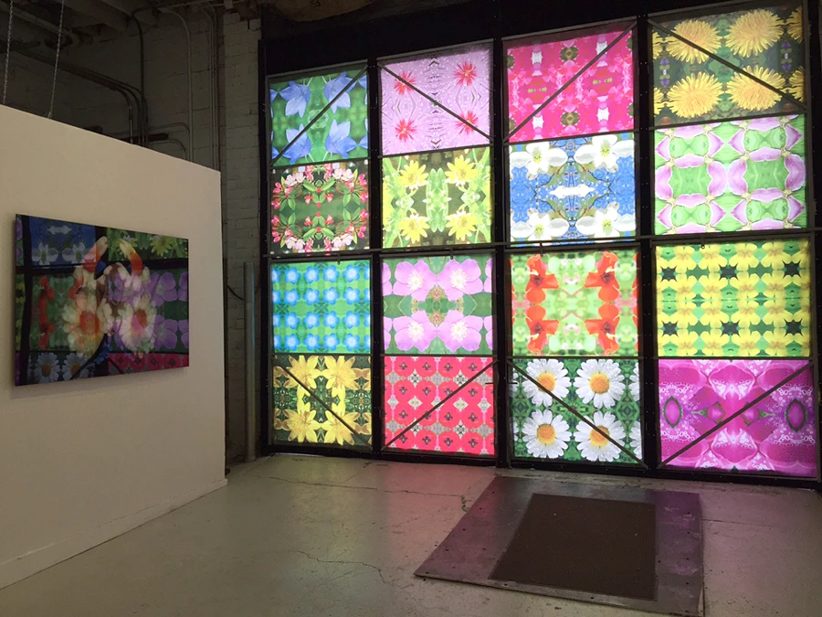 SuRan Song, Power Flower Window, 2015