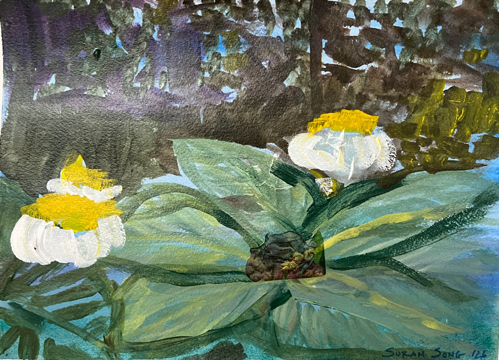 Changming Fan's Garden, 2026 by Suran Song