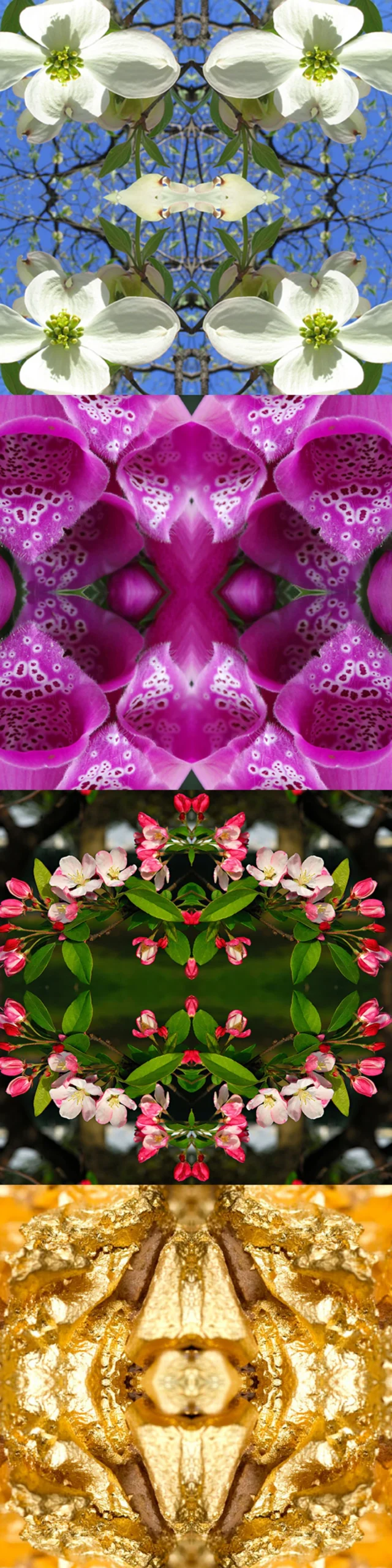 Power Flower Anthologia, 2014