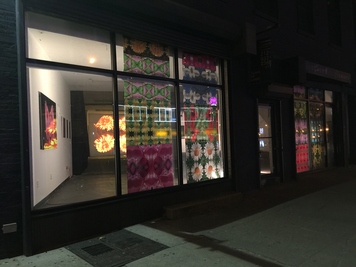 SuRan Song, Chashama Windows Project, 2017
