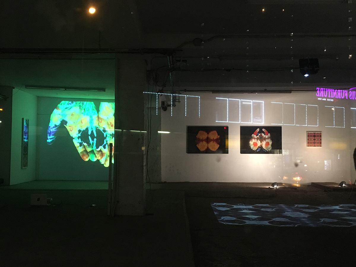 SuRan Song, Chashama Windows Project, 2017