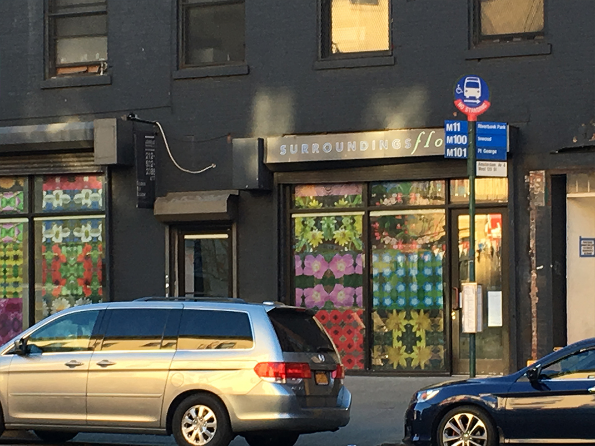 SuRan Song, Chashama Windows Project, 2017